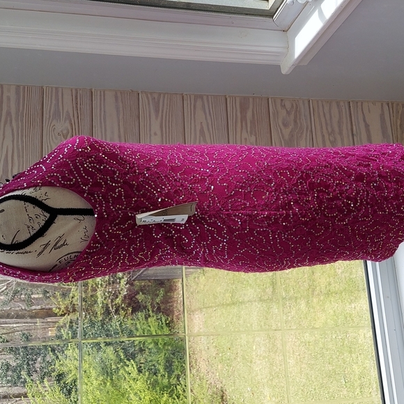 Lily Rose sleeveless dress size large - Picture 5 of 6